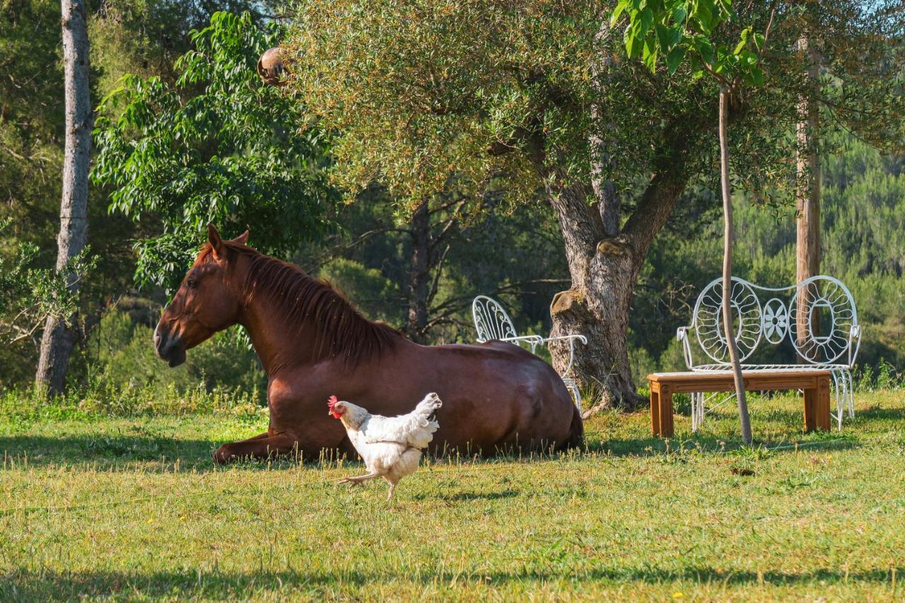 Masia Pou De La Vinya Сіджас Екстер'єр фото