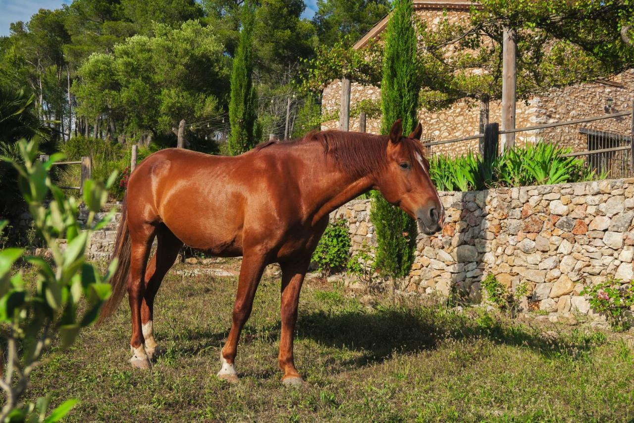 Masia Pou De La Vinya Сіджас Екстер'єр фото